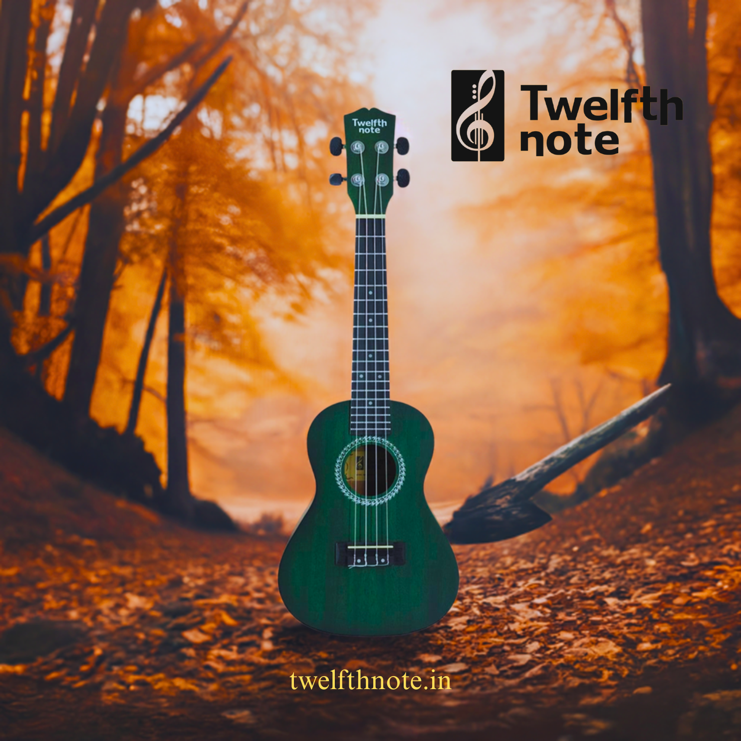 Explore the Best Crafted Musical Instruments – Twelfthnote