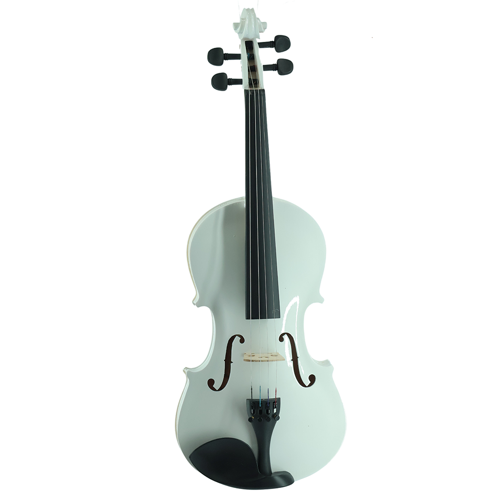 Violin VR10