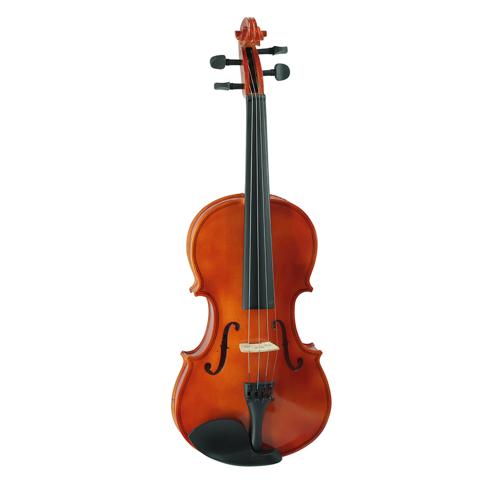 Violin VR10