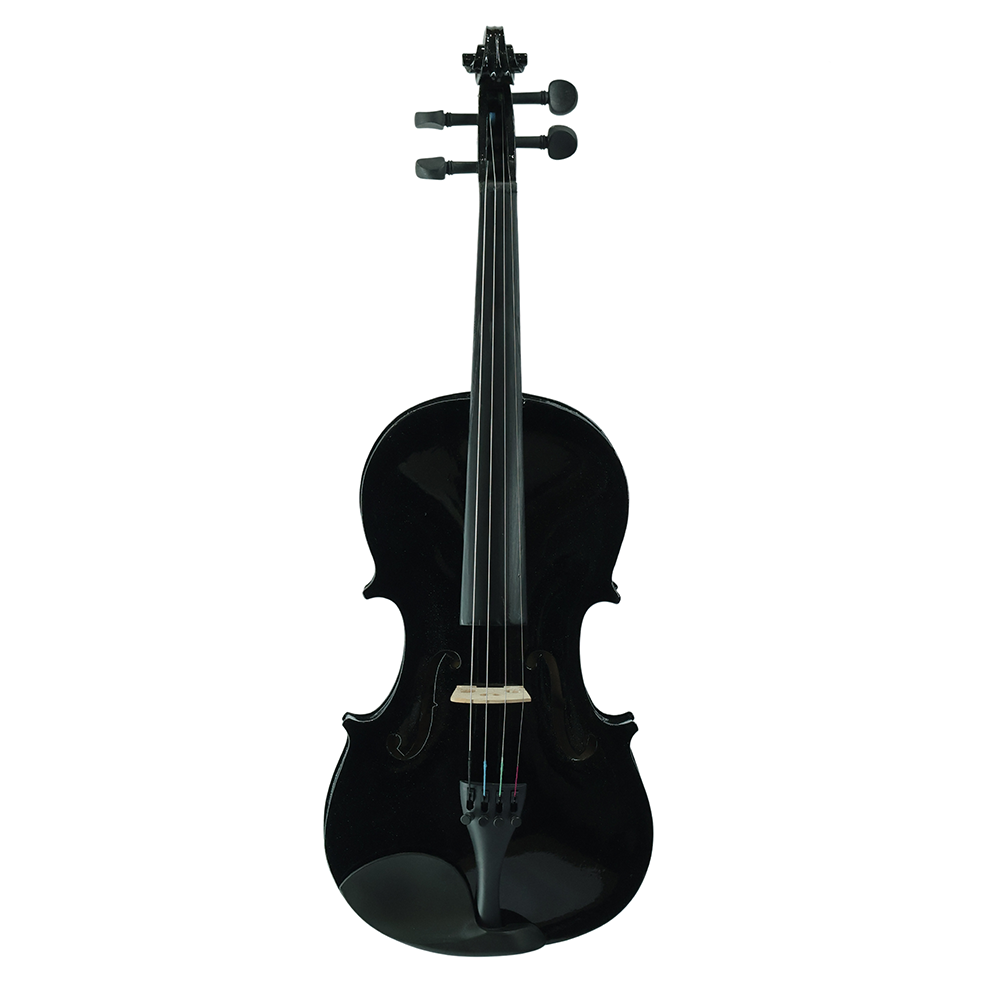Violin VR10