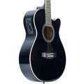 Twelfthnote Semi Acoustic Guitar