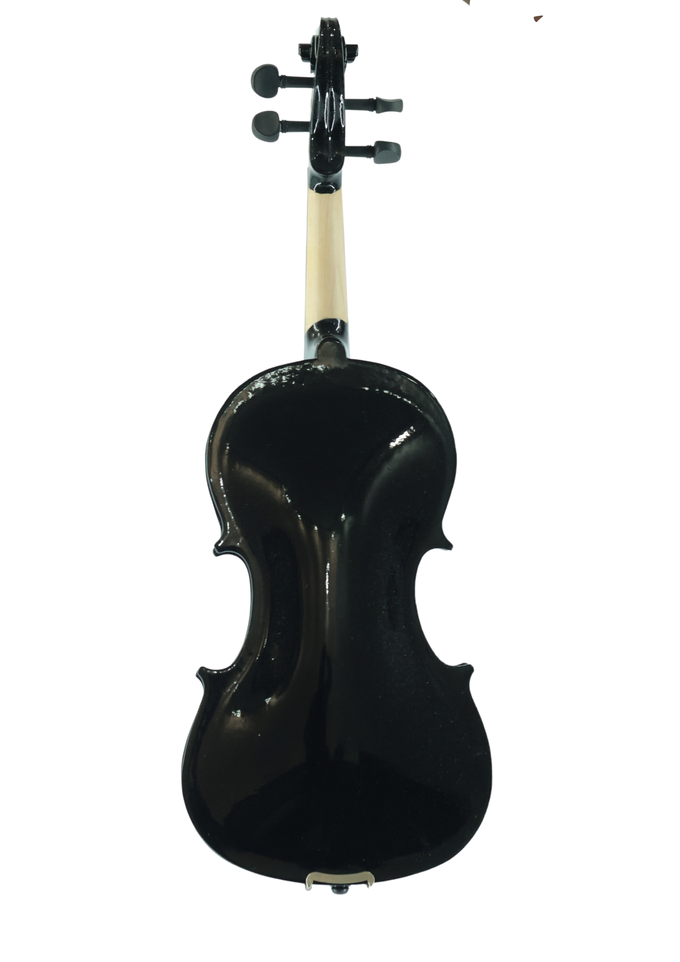 Violin VR10