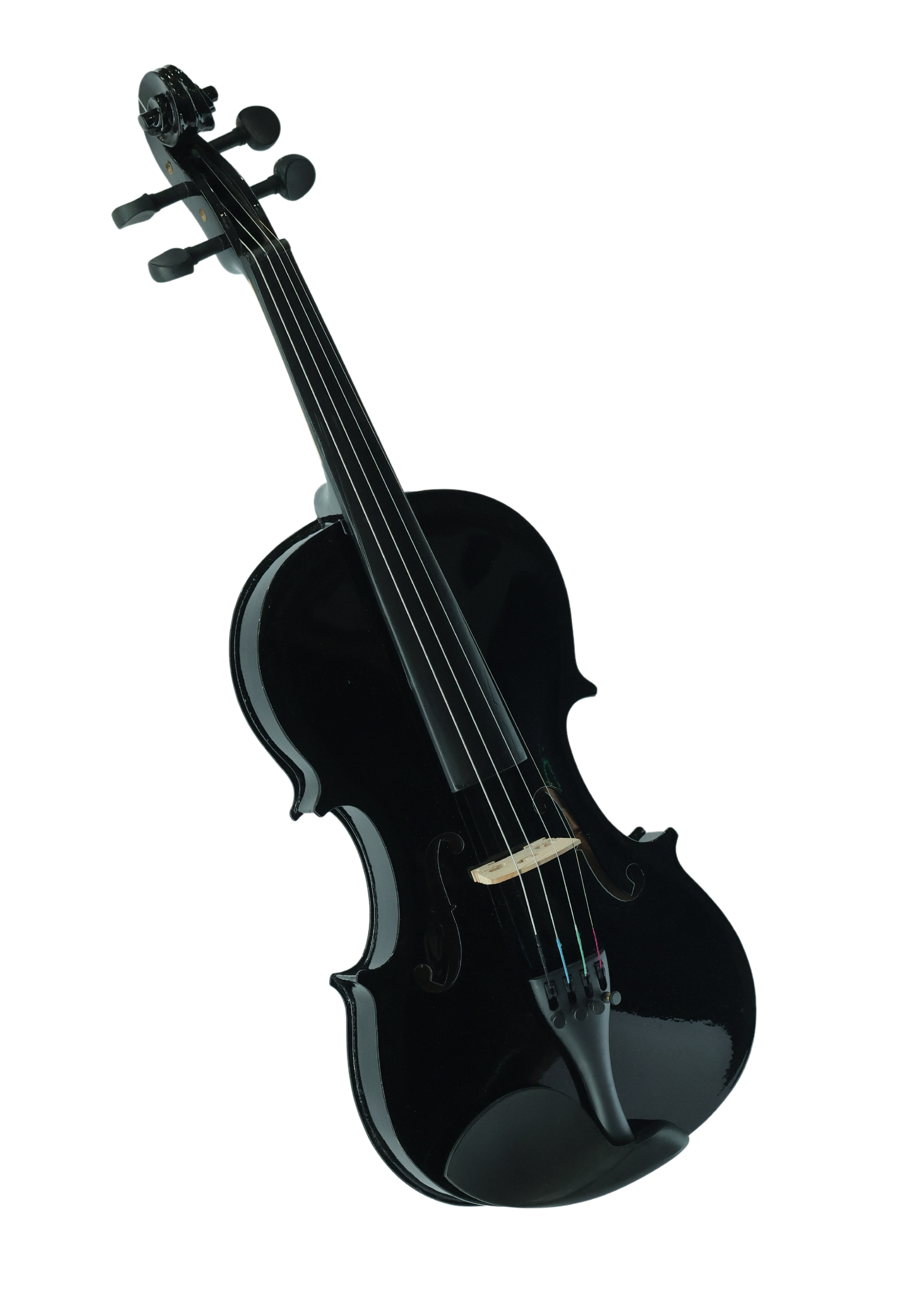 Violin VR10