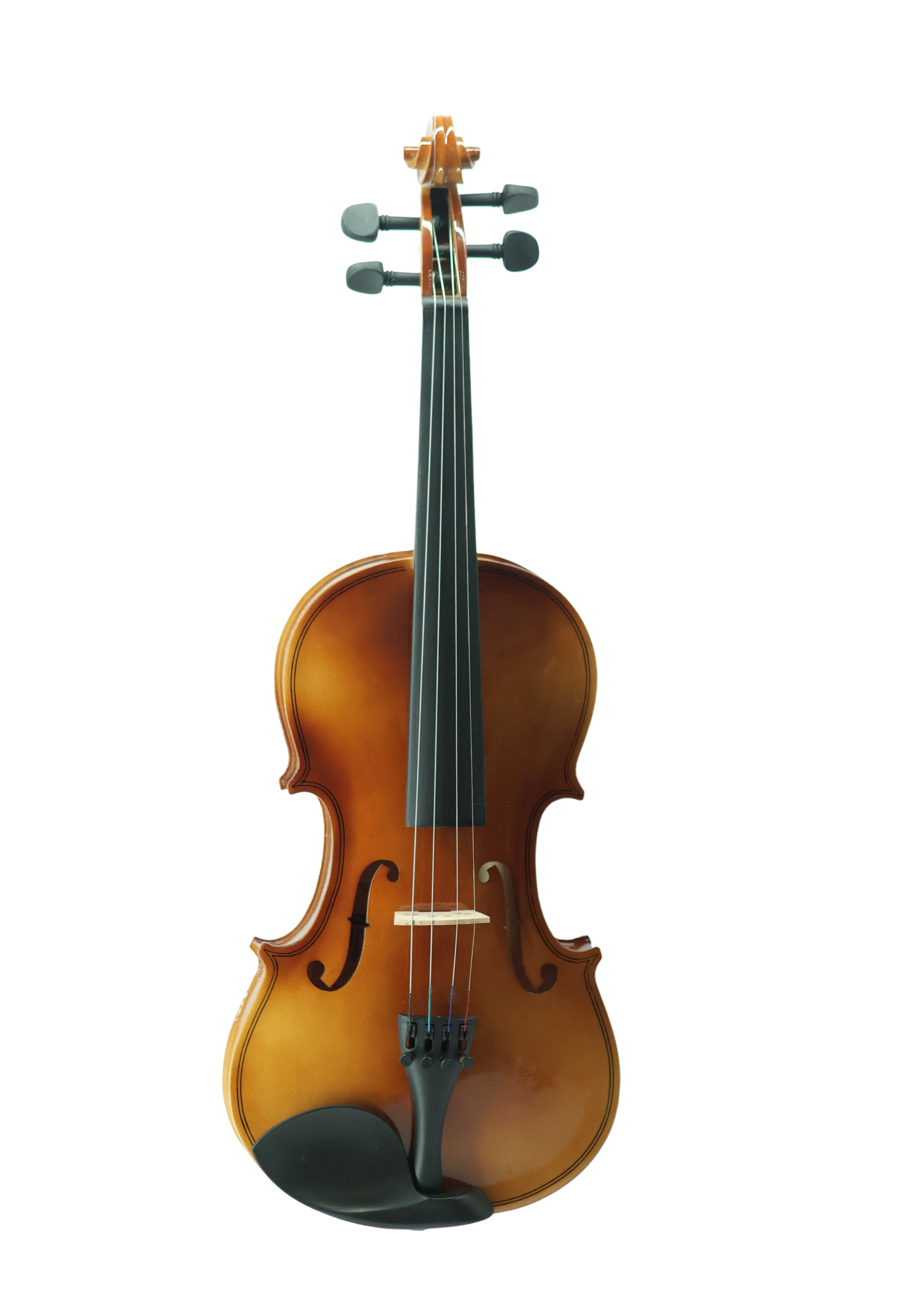 Violin VR10