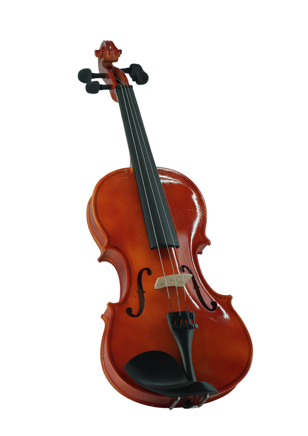 Violin VR10