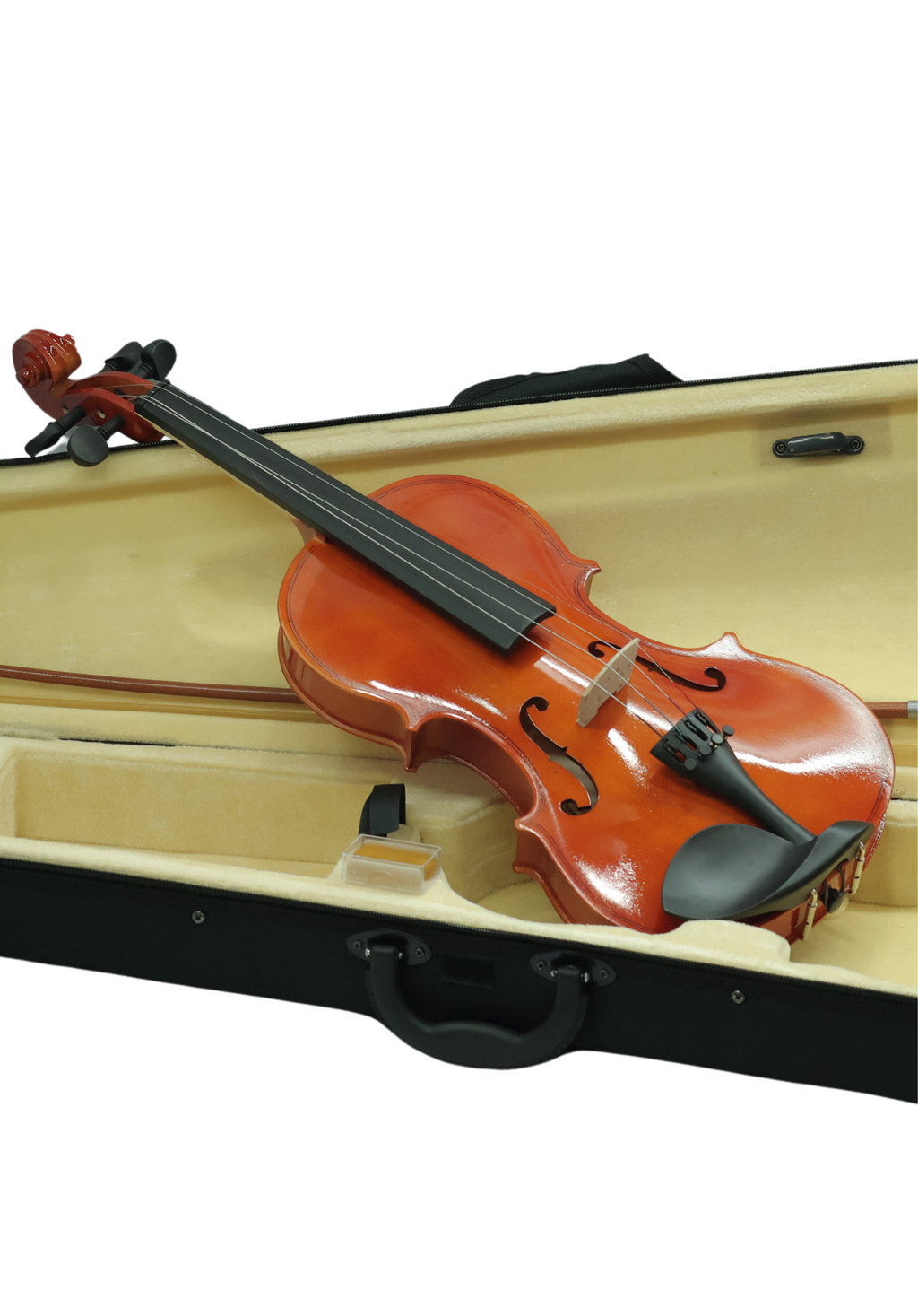 Violin VR10