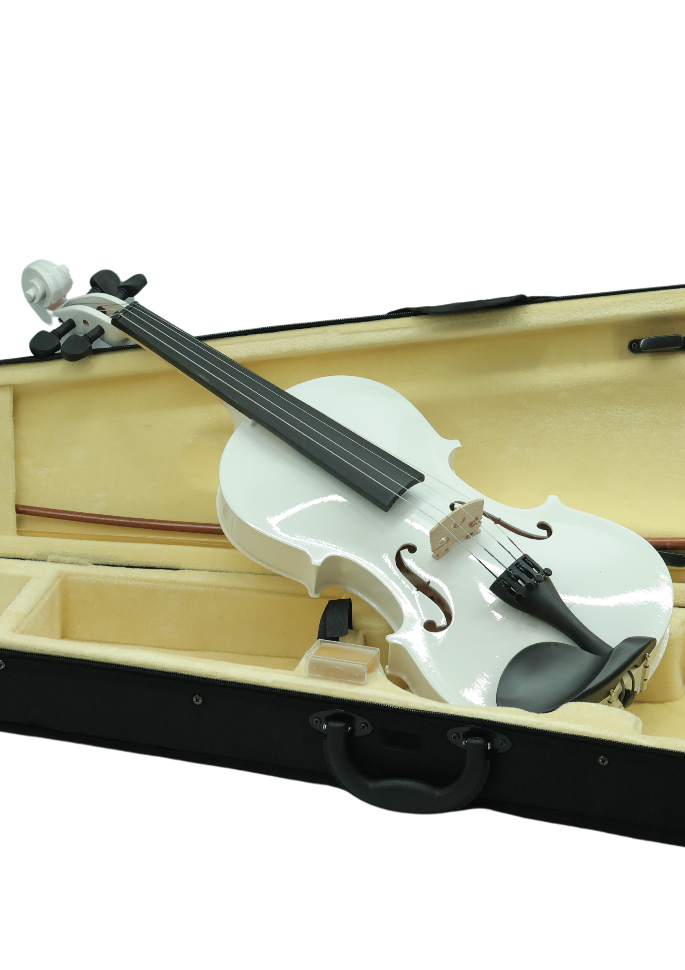 Violin VR10