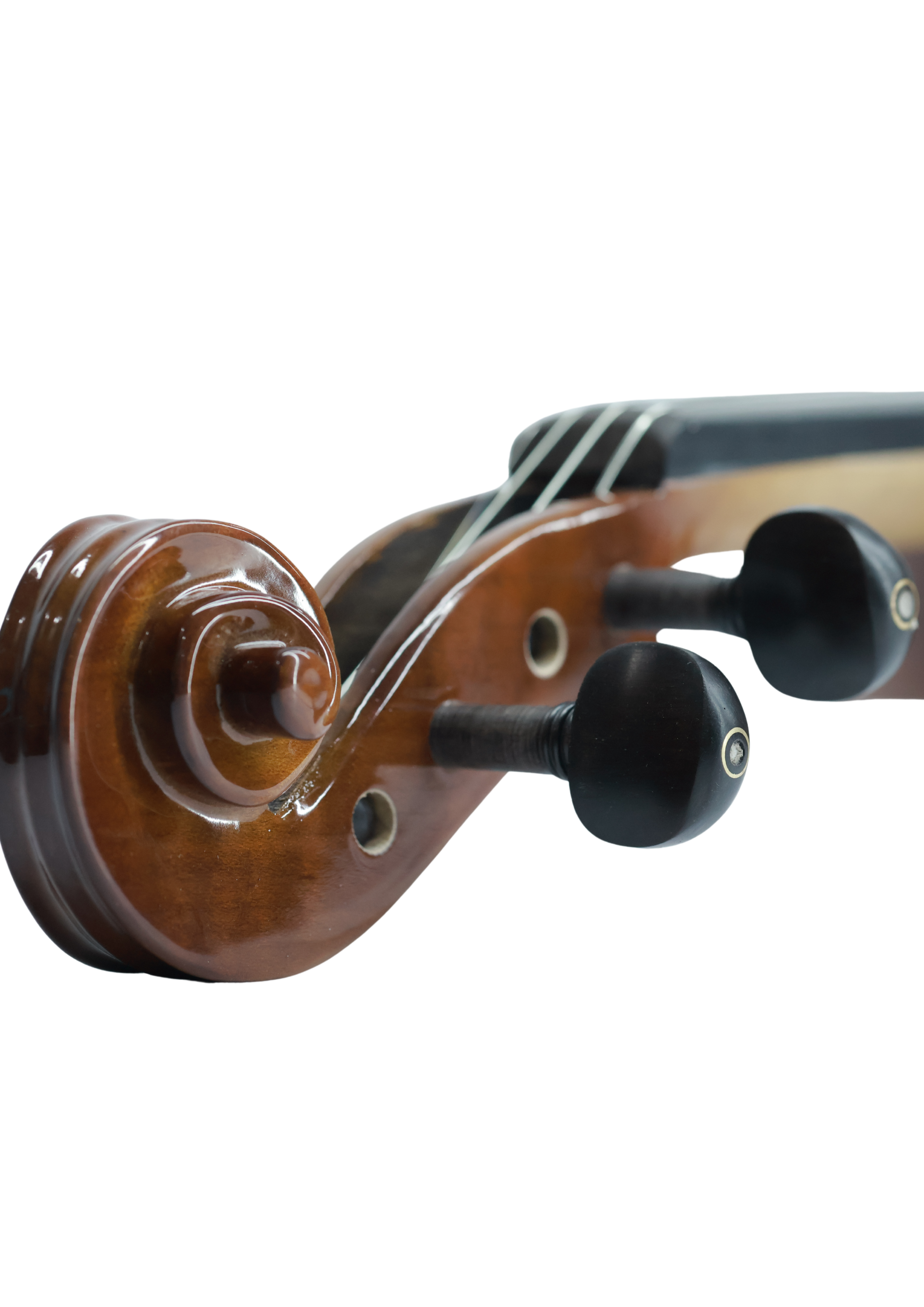 Twelfthnote Violin V02