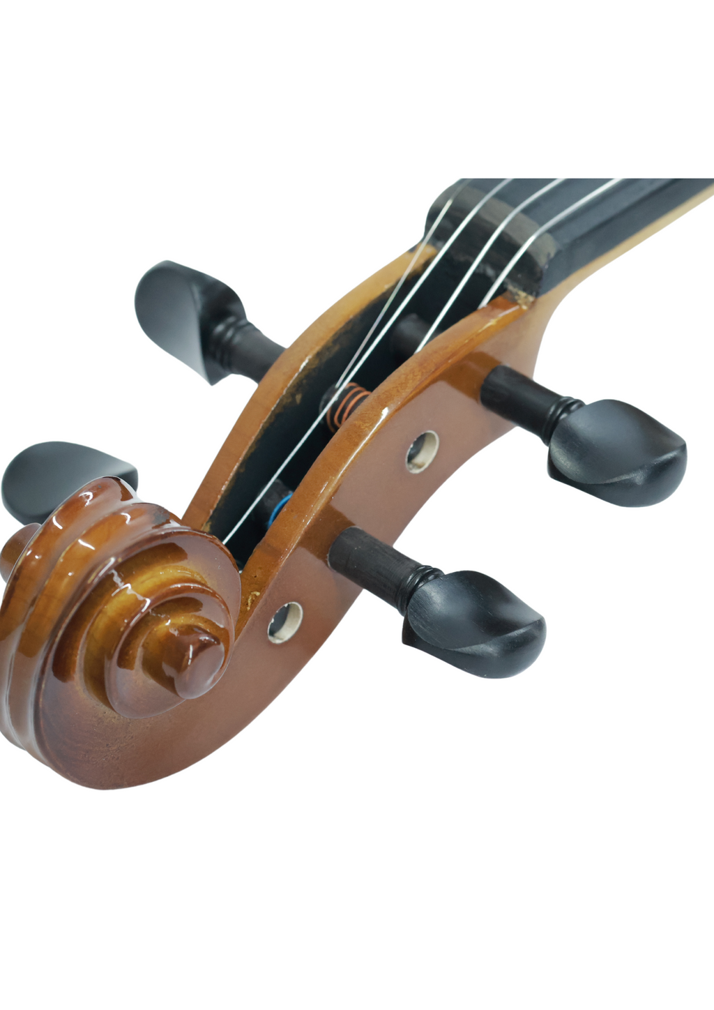 Twelfthnote Violin V12