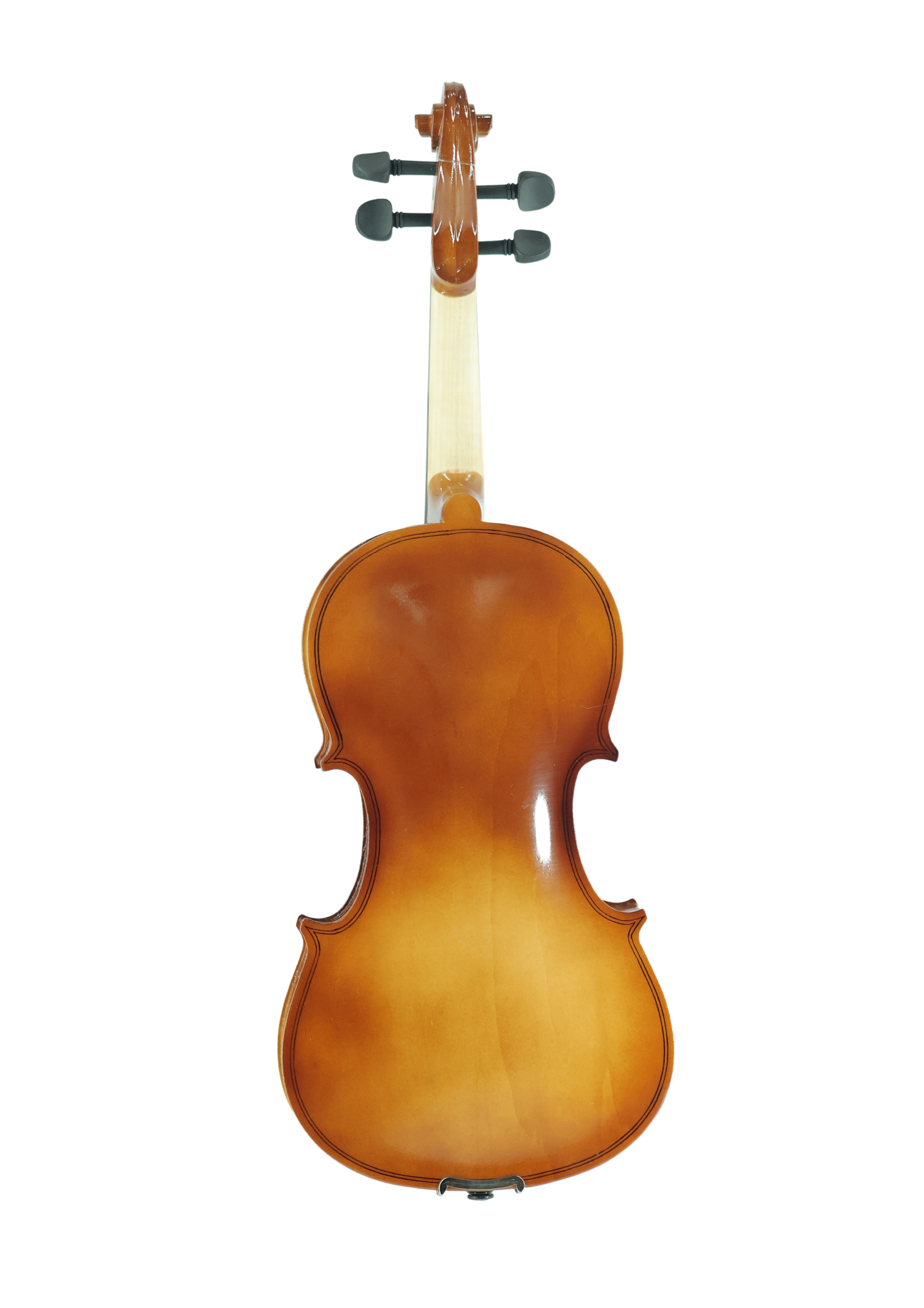 Violin VR10