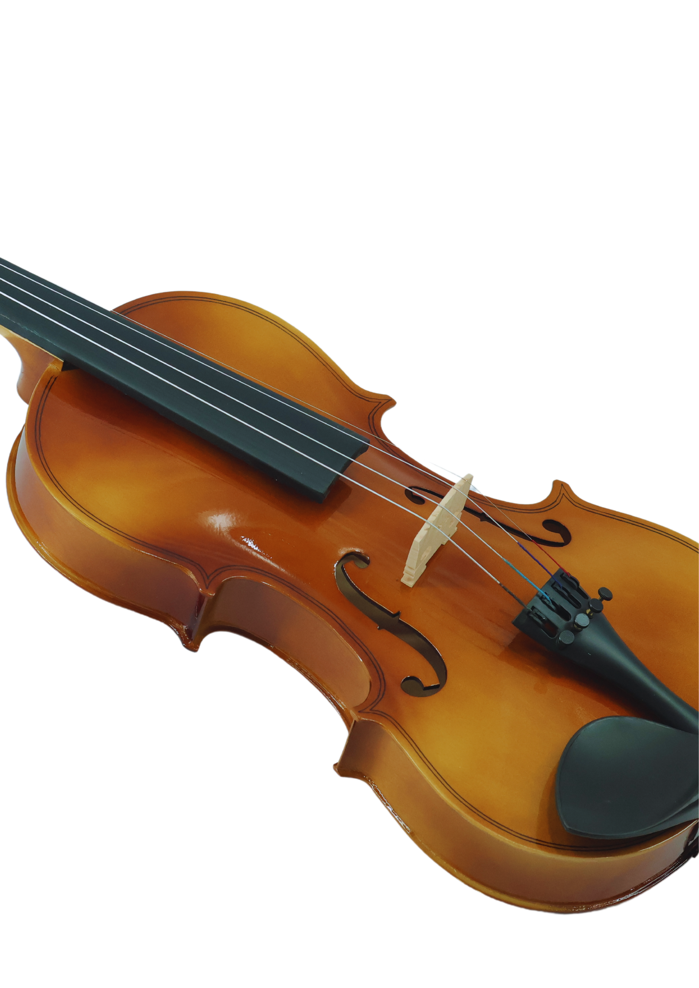 Violin VR10