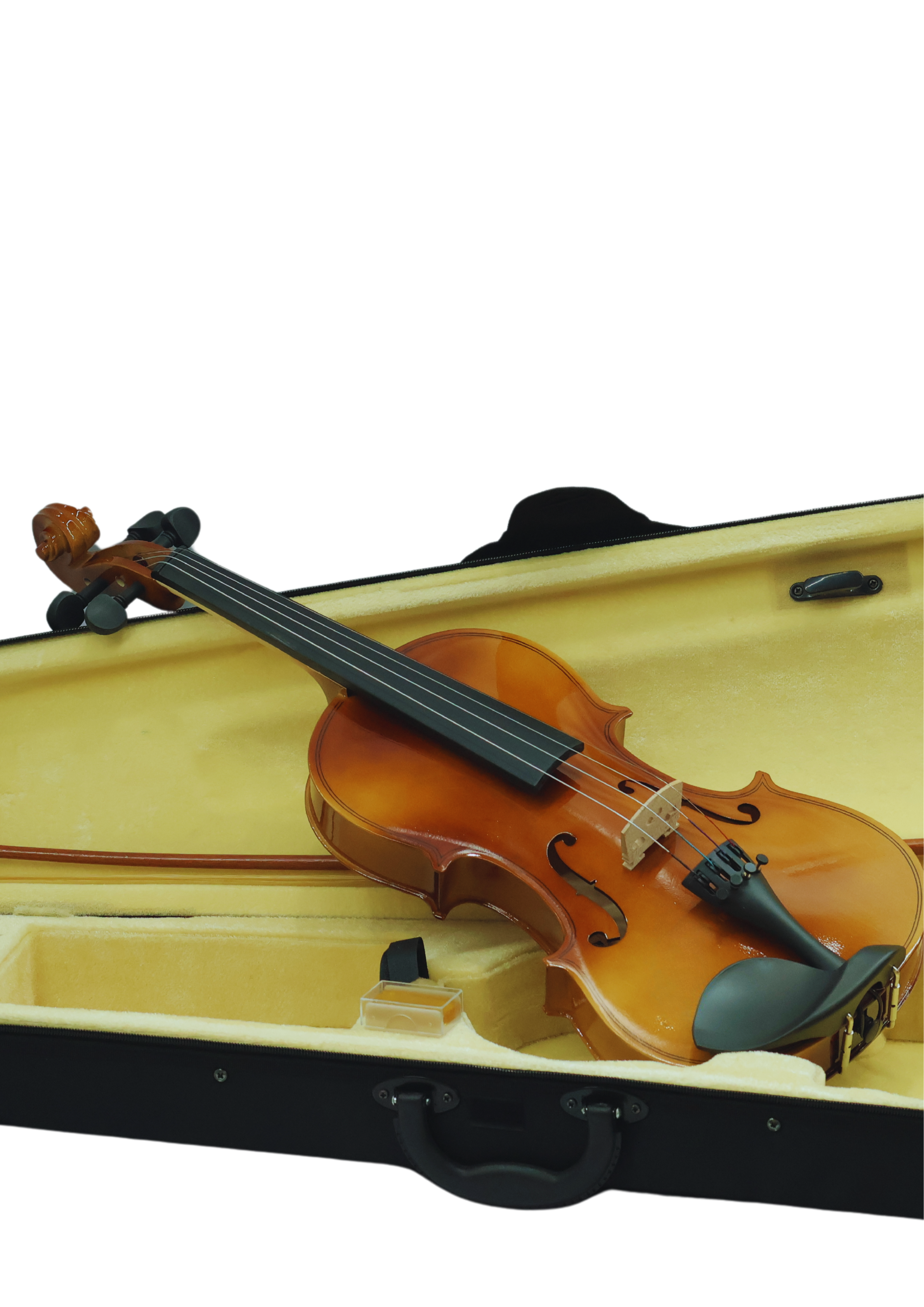 Violin VR10
