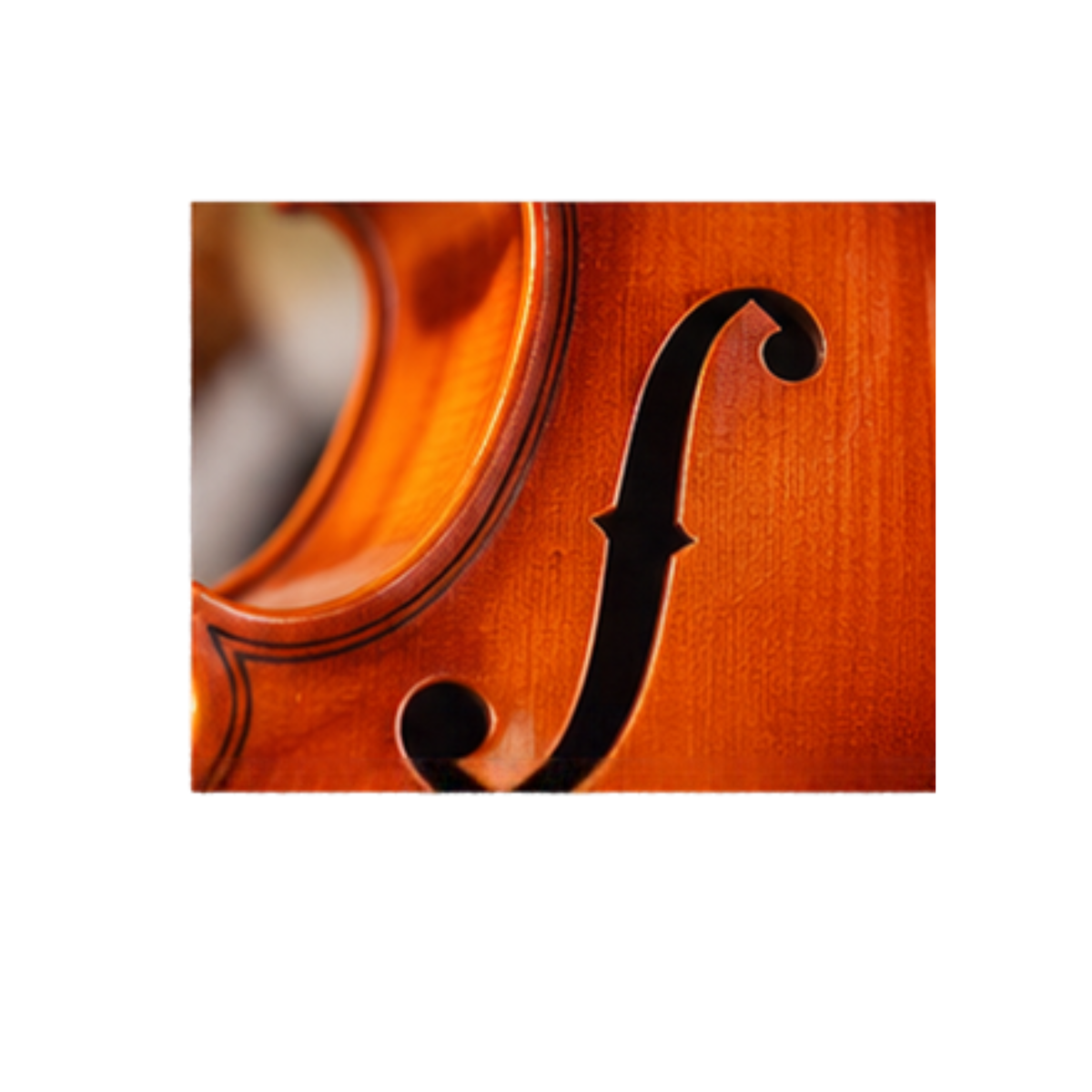 Violin VR10