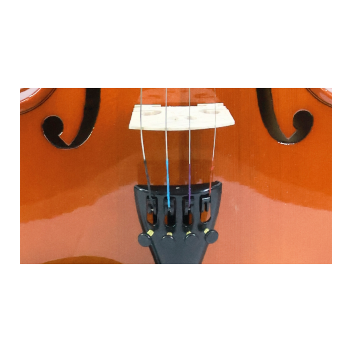 Violin VR10