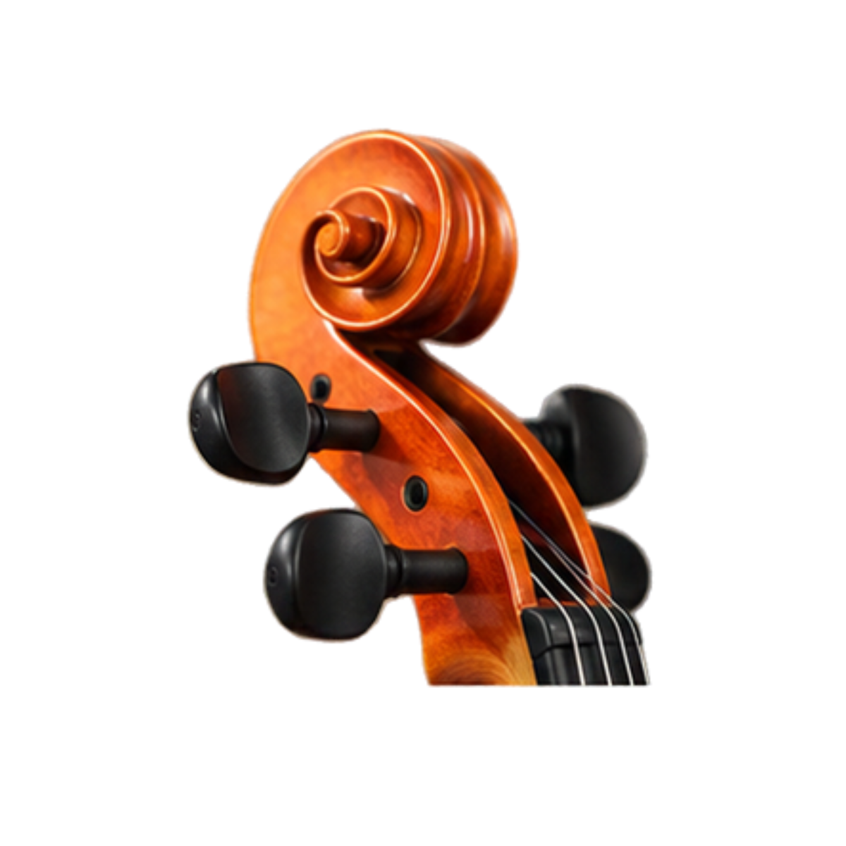 Violin VR10